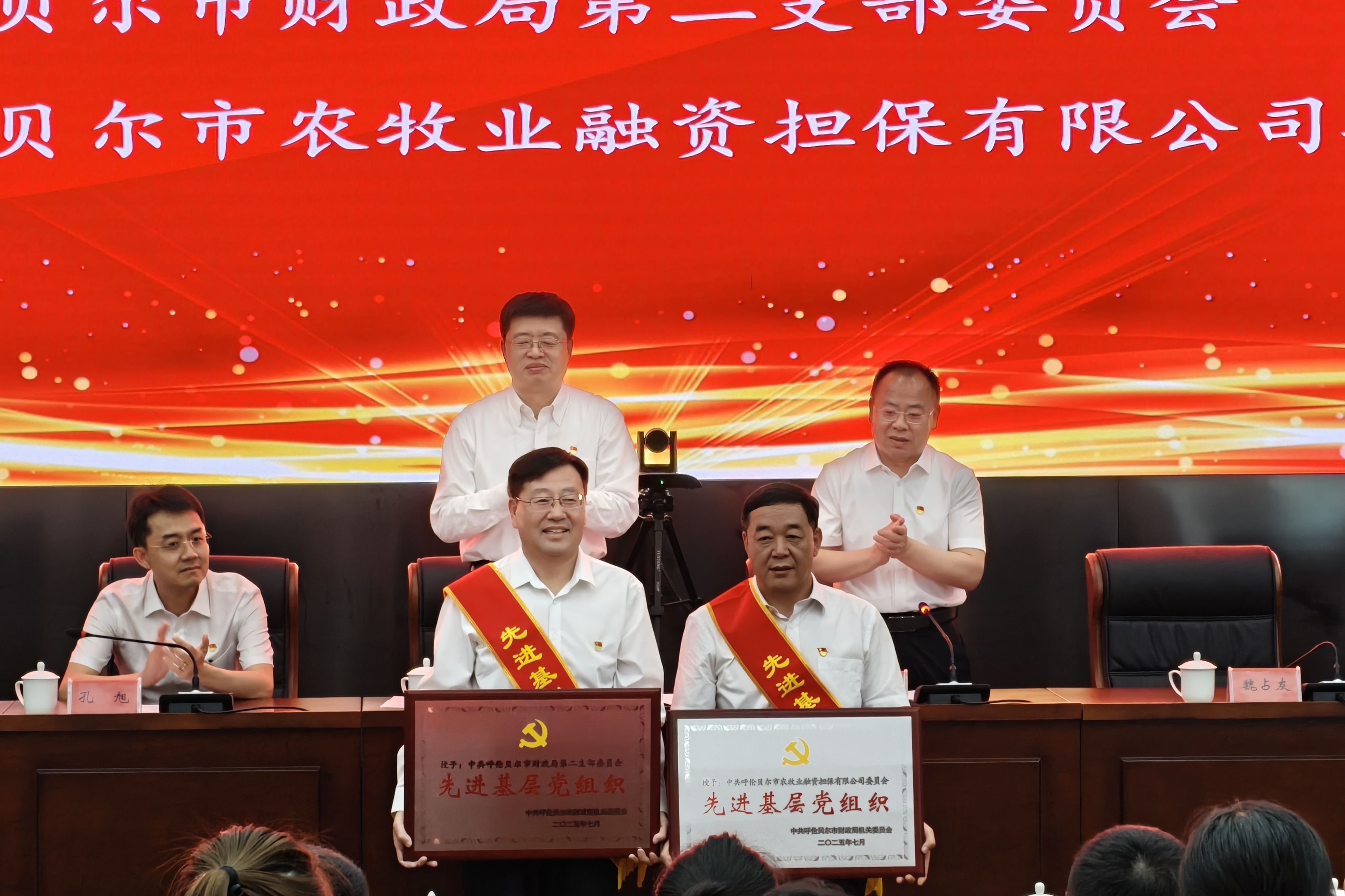 市农担公司党委荣获 “先进基层党组织” 称号
